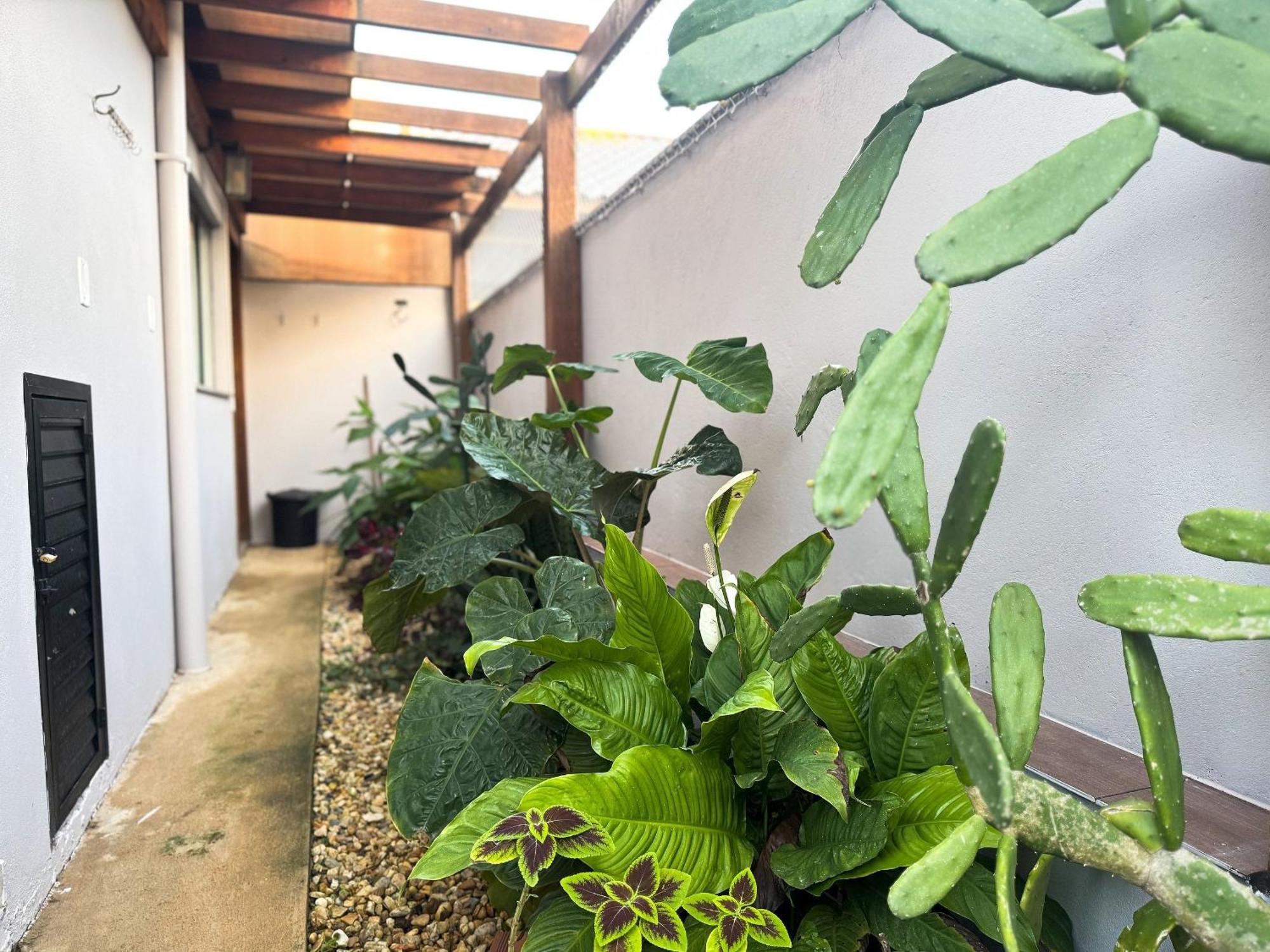 Casa Ramundo: Relaxe, Explore E Divirta-Se! Penha  Eksteriør billede